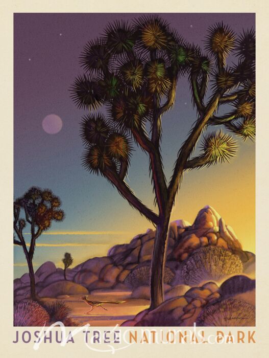 ADG Joshua Tree National Park Wallpaper Wall Mural