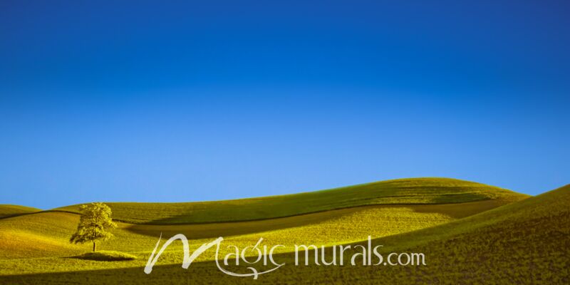 Lone Tree in a Stream of Light - Schwartz Wallpaper Wall Mural