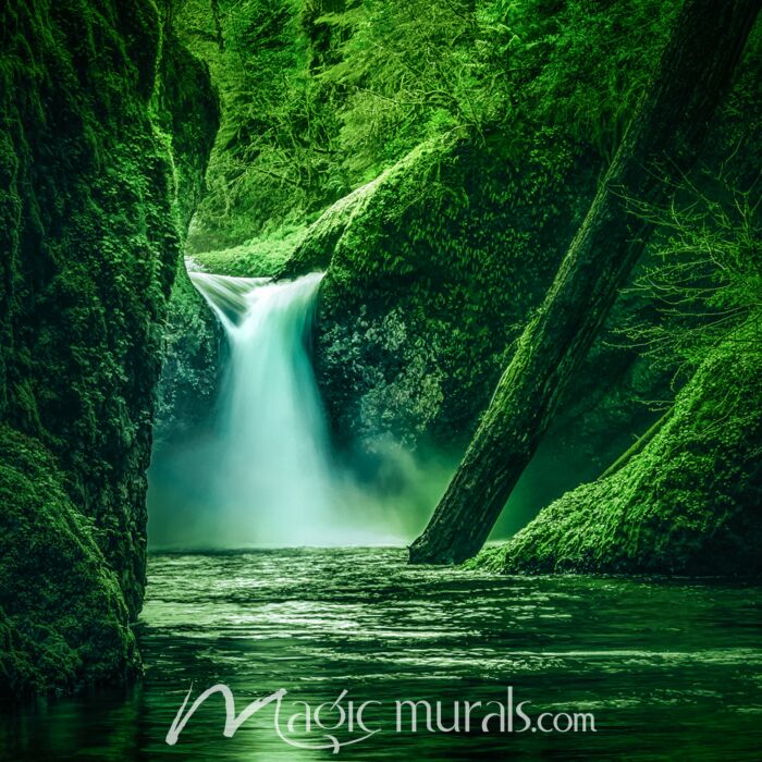 Punchbowl Falls II - Schwartz Wallpaper Wall Mural