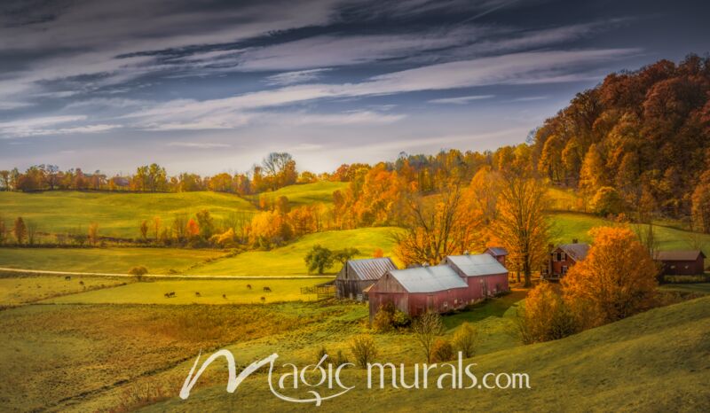 Autumn at the Farm IV – Schwartz Wallpaper Wall Mural