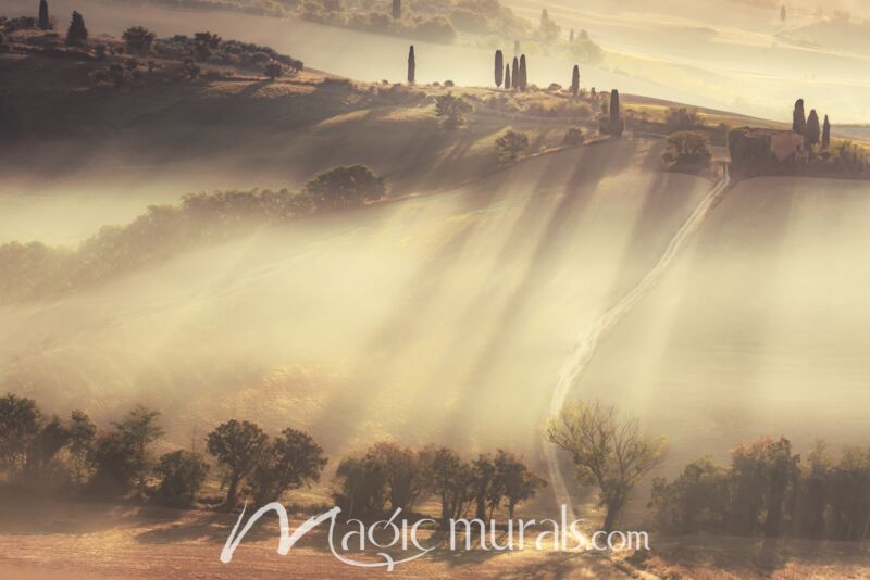 Sun Splashed Hills Wallpaper Wall Mural