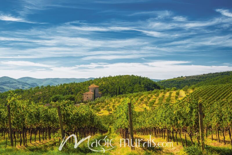 Chianti Vineyard Wallpaper Wall Mural