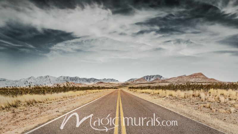 Desert Road McNeal Arizona Wallpaper Wall Mural