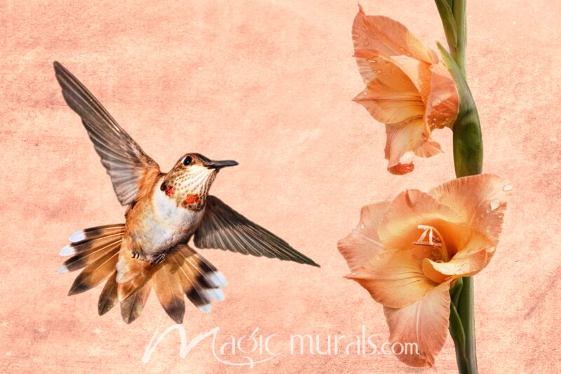 Hummingbird Attraction Wallpaper Wall Mural