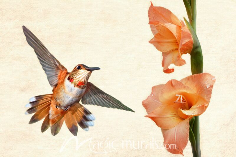 Hummingbird Attraction II Wallpaper Wall Mural