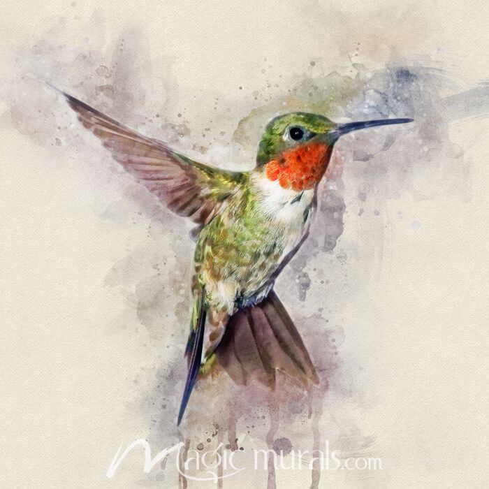 Hummingbird Acrobat Wallpaper Wall Mural