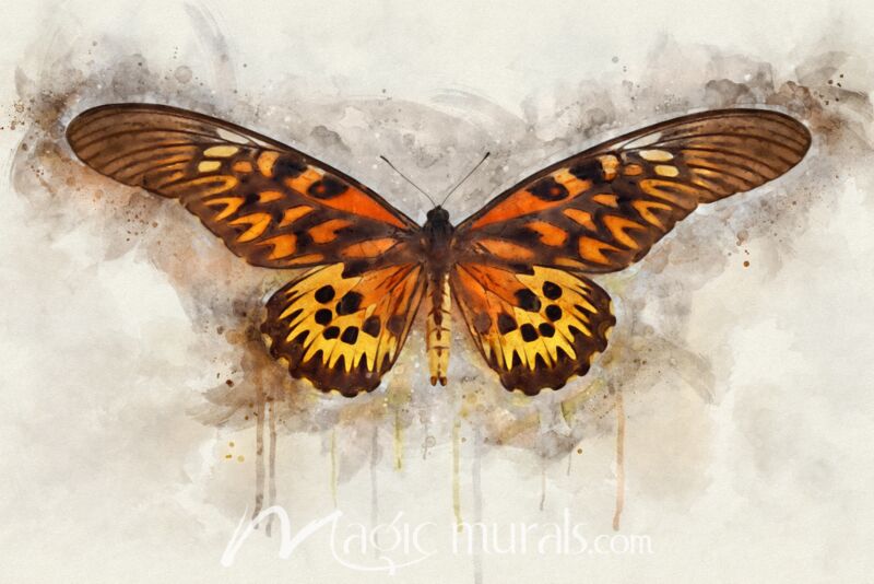 Butterfly Flying Colors Wallpaper Wall Mural