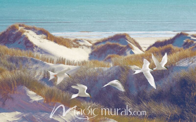 Terns Sandy Fliers Wallpaper Wall Mural