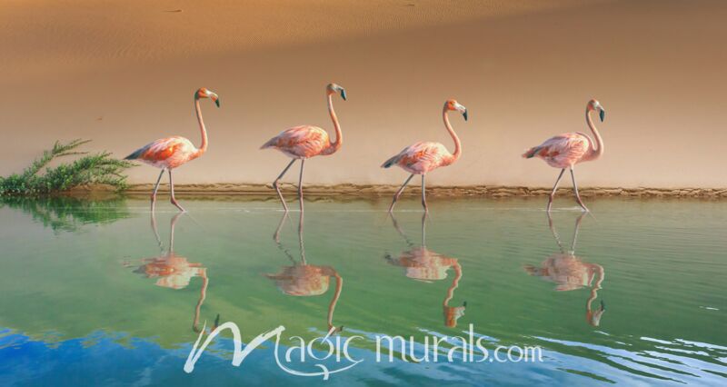 Plumage Parade Wallpaper Wall Mural