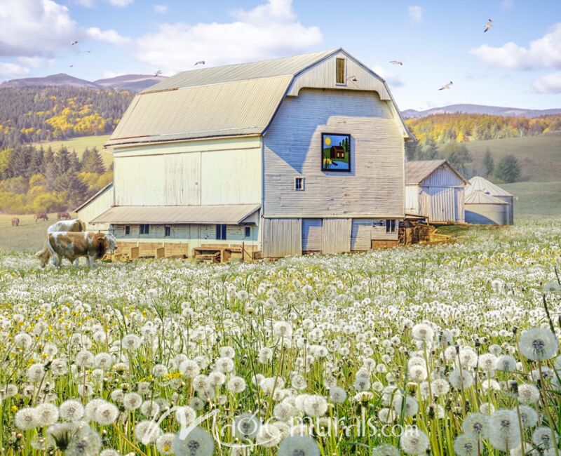 Bodacious Barn With Dandelions Wallpaper Wall Mural