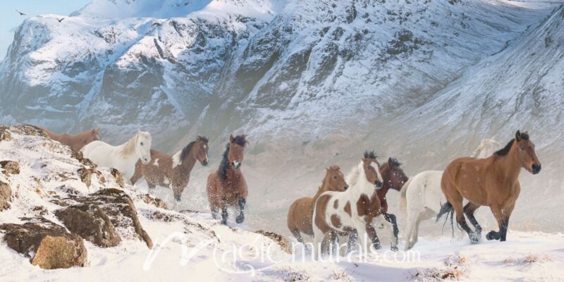 Ridge Runners Horses Wallpaper Wall Mural