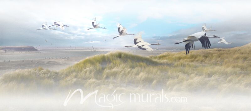 Coastal Soaring Seagulls Wallpaper Wall Mural