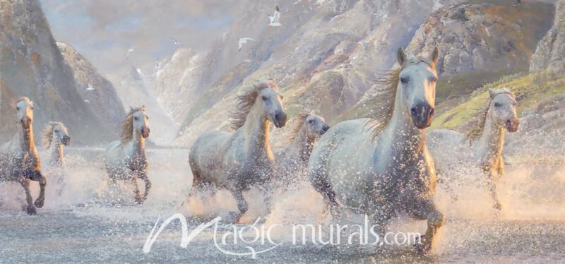 Spirited Splashers Horses Wallpaper Wall Mural