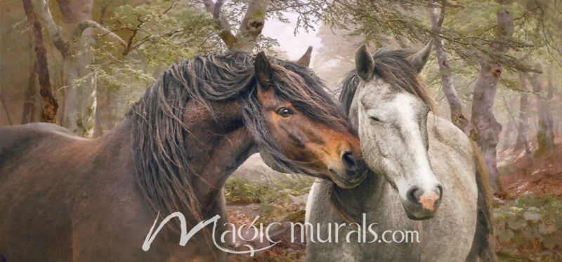 Forest Fraternisers Horses Wallpaper Wall Mural