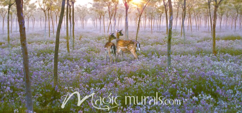 Field Of Dreams Deer Wallpaper Wall Mural