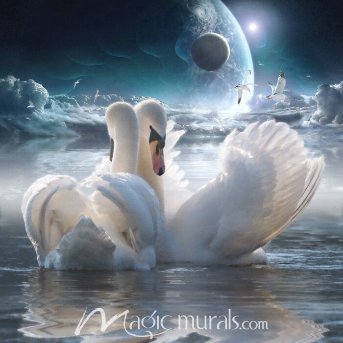 Celestial Swans Wallpaper Wall Mural