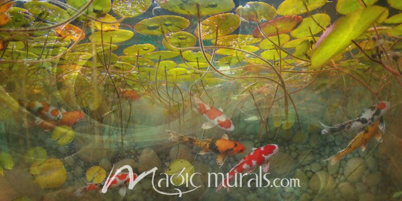 Celestial Fish One Koi Wallpaper Wall Mural