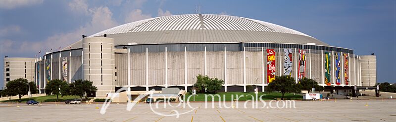 Houston Astrodome 0191 Wallpaper Wall Mural