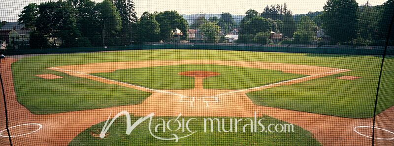 Doubleday Field Cooperstown 1164 Wallpaper Wall Mural