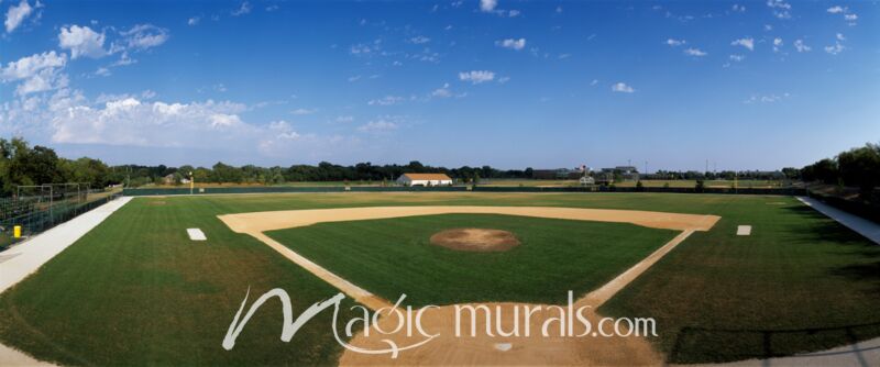 High School Baseball Diamond 1556 Wallpaper Wall Mural