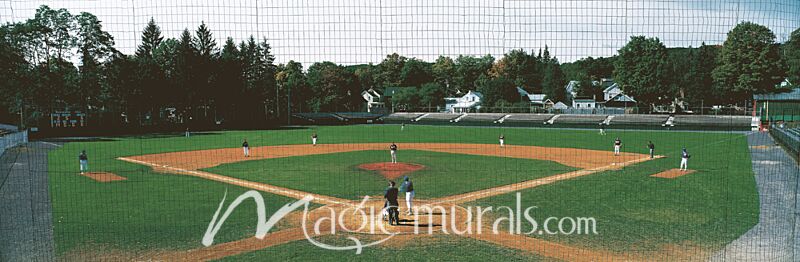 Cooperstown Doubleday Field 2338 Wallpaper Wall Mural