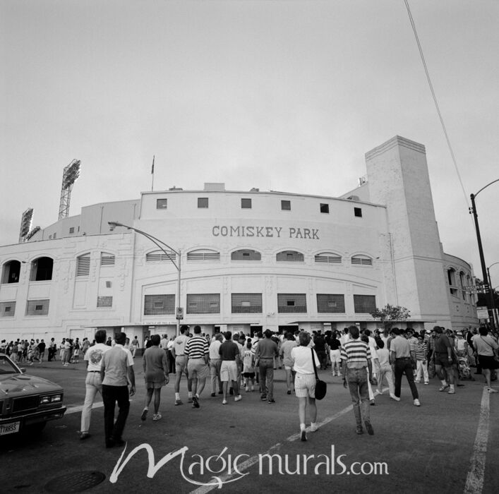 Comsikey Park Chicago 4040 Wallpaper Wall Mural