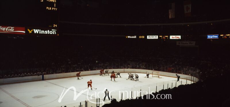 Chicago Hockey 4487 Wallpaper Wall Mural