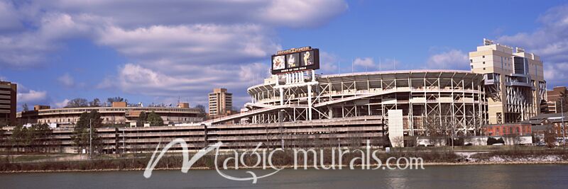 Neyland Stadium Knoxville 9040 Wallpaper Wall Mural