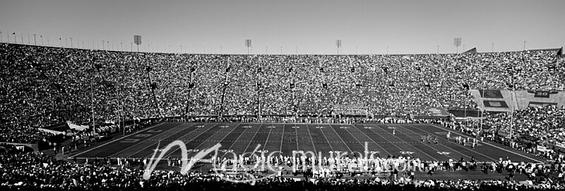 LA Memorial Coliseum 2654 Wallpaper Wall Mural