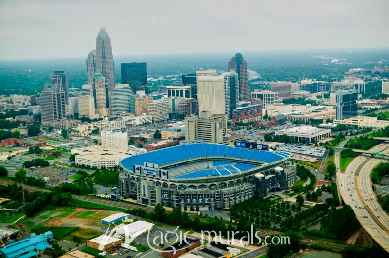 Panthers Ericsson Stadium Charlotte 1763 Wallpaper Wall Mural