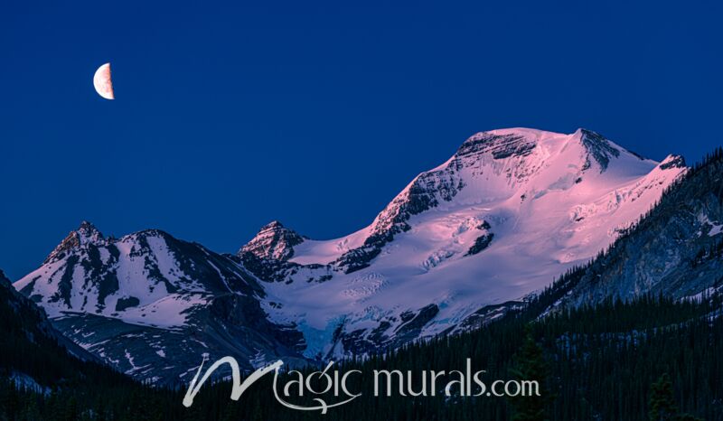 Mount Athabasca Moon 7613 Wallpaper Wall Mural