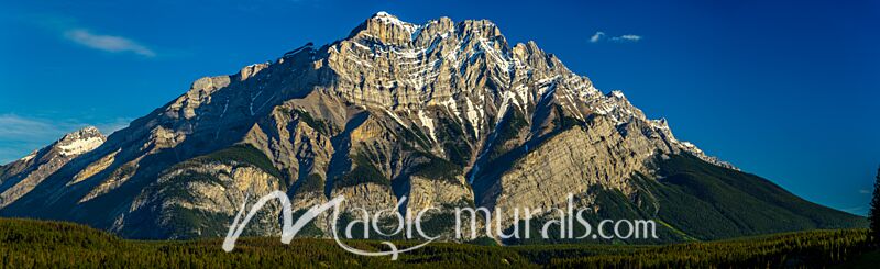 Cascade Mountain Forest 7642 Wallpaper Wall Mural