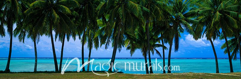 Cook Islands Lagoon Palm Trees 7655 Wallpaper Wall Mural