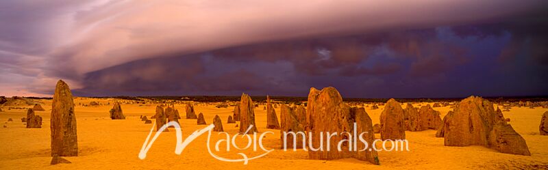 Pinacles Desert Australia 7688 Wallpaper Wall Mural