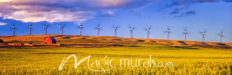 Canola Field Wind Farm 3041 Wallpaper Wall Mural