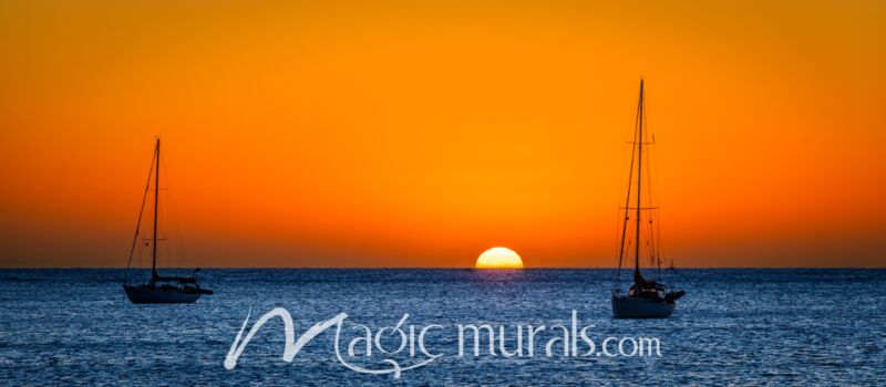 Baja California Sailboat Sunrise 8889 Wallpaper Wall Mural