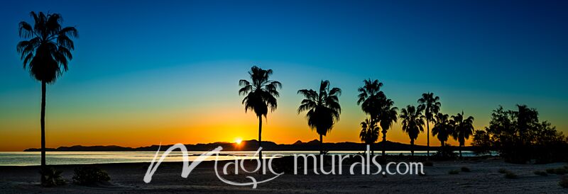 Baja California Palm Tree Sunrise 8900 Wallpaper Wall Mural