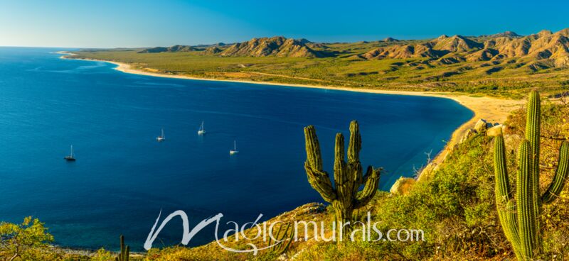 Los Frailes Bay Baja Cactus 8906 Wallpaper Wall Mural