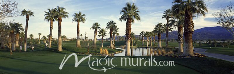 Palms at Desert Springs Golf Course Wallpaper Wall Mural