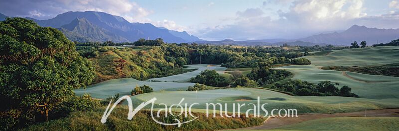 Princeville Golf Course Kauai Hawaii Wallpaper Wall Mural