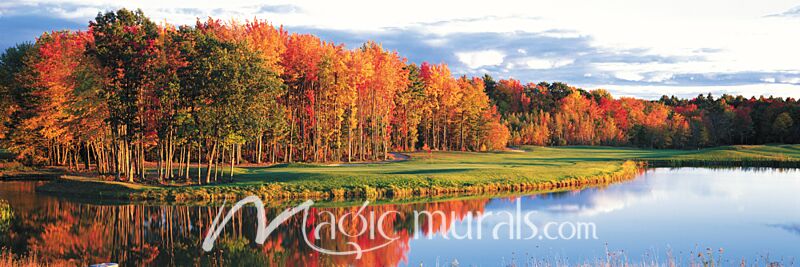 Autumn Golf in New England Wallpaper Wall Mural