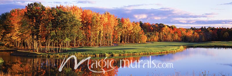 Autumn Golf in New England III Wallpaper Wall Mural