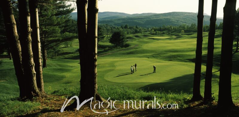 Country Club of Vermont Golf Wallpaper Wall Mural