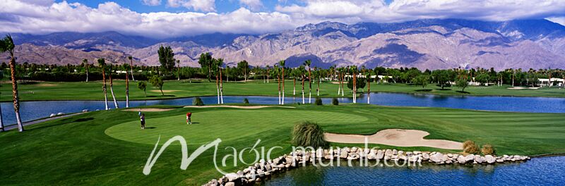 Palm Springs Golf Course Wallpaper Wall Mural