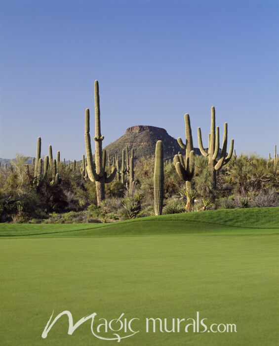 Troon North Golf Club Scottsdale Wallpaper Wall Mural