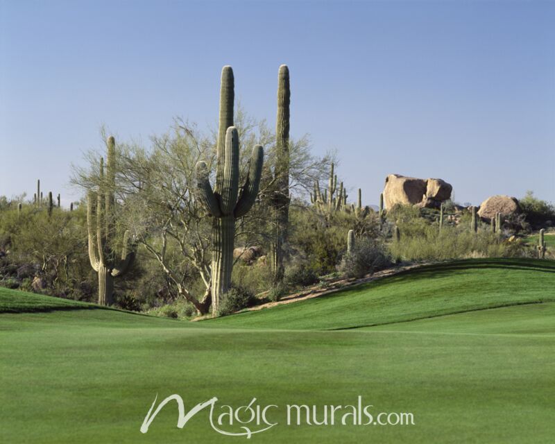 Troon North Golf Club Scottsdale II Wallpaper Wall Mural