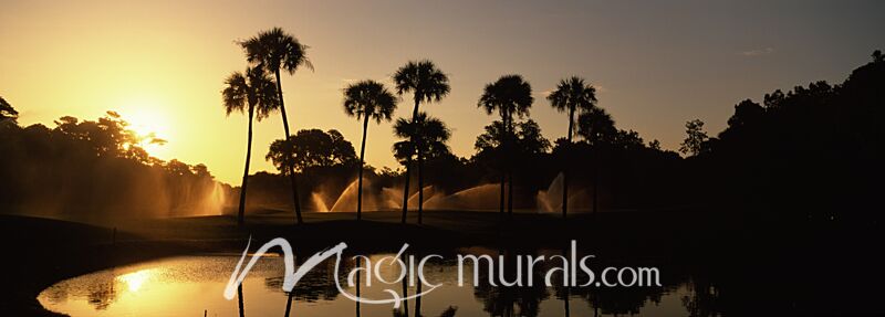 Palm Trees at Kiawah Island Golf resort Wallpaper Wall Mural