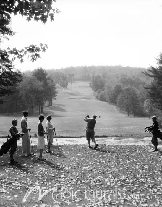 Pittsfield Vintage Golf Group Wallpaper Wall Mural