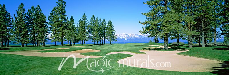 Edgewood Tahoe Sand Traps Wallpaper Wall Mural