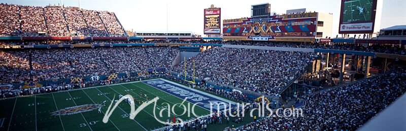 Sun Devil Stadium Arizona 6434 Wallpaper Wall Mural